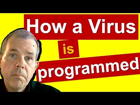 Create your own virus in Python