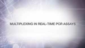 Learn how multiplexing can help you become more efficient in the lab: Preview - Scientific Videos | Thermo Fisher Scientific US