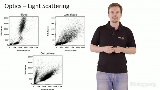 A Brief Introduction to Flow Cytometry • iBiology