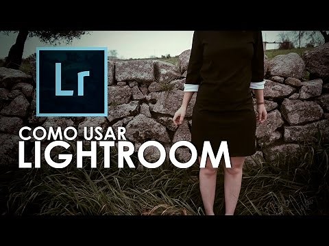 Aprende a usar Lightroom - Pasos básicos