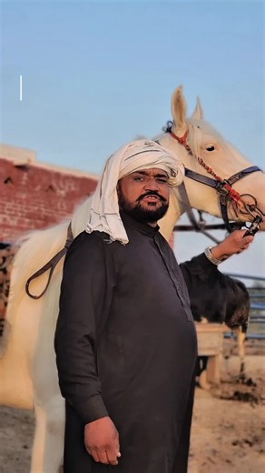 Part 5: Japa G09 Horse Riding Insights