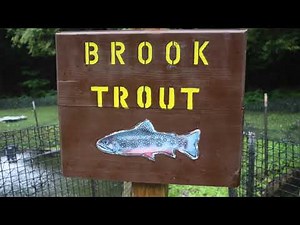 CT DEEP - Burlington Trout Hatchery Virtual Tour (expanded version)