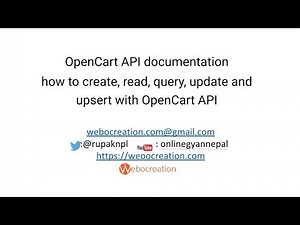 How to use Opencart API?