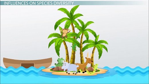 Theory of Island Biogeography | Definition & Equilibrium