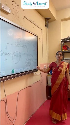 Interactive Whiteboard 75 Inch Smart Board For Teaching Digital Smart Board Studynlearn IFP Review