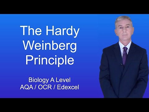 A Level Biology Revision (Year 13) "The Hardy Weinberg Principle"