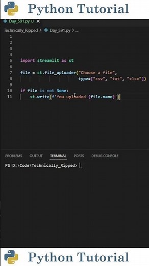 Adding File Uploader To Streamlit Web App | Python Tutorial