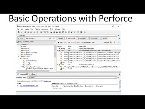 Basic Operations with Perforce
