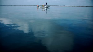 12K views · 523 reactions | Human changes to the biosphere have triggered an explosion of invasive species that disrupt the balance of terrestrial and marine ecosystems everywhere. The challenge now is to curb their spread. https://on.natgeo.com/3SuDOOE | National Geographic | Facebook