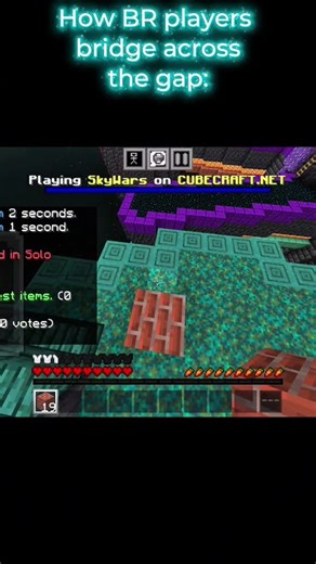 Java Telly-bridge VS Bedrock FW-bridge #java #bedrock