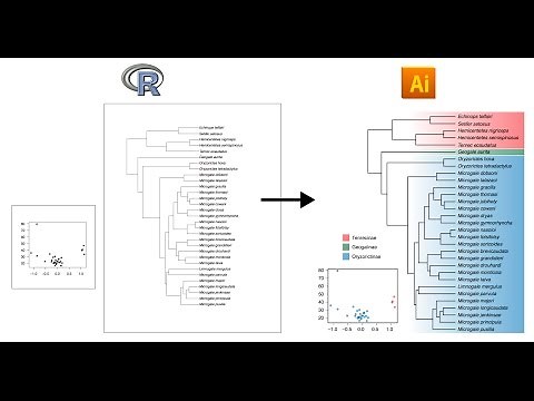 Tutorial: Editing R plots in Adobe Illustrator