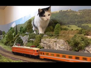 Roco 04197S ÖBB 1044 digitalisieren ESU Decoder und LED einbauen