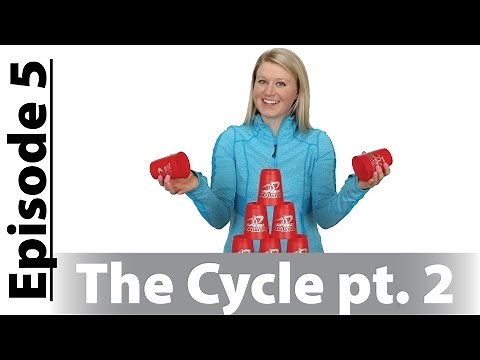 Episode 5 - Learn The Cycle Stack pt 2