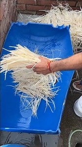 ⚡⚡Cocks making process⚡⚡#shorts #telugufoodie #esangathulu #streetfood #foodie #omelette