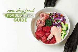 Raw Dog Food For Beginners Guide: 18 Things You Must Know - Canine Bible