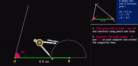 Classification of animals