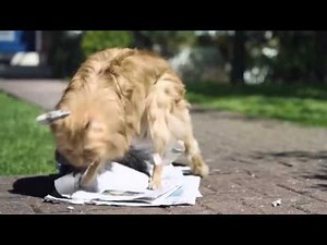 O2 Be more dog commercial HD