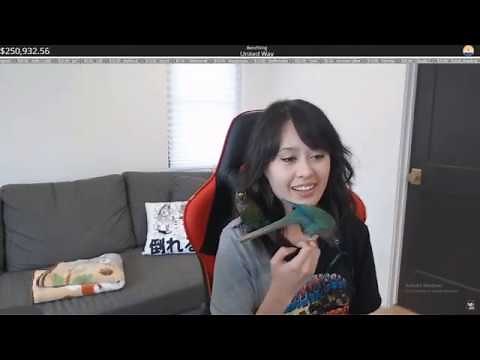 Jaiden Animations' BIG SECRET!