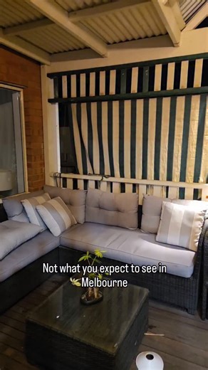 PYTHON ON A DECK IN WATSONIA Got called out to a job late at night to find a python on a balustrade. Just another day in the life of The Snake Hunter #python #snakecatcher #australia | The Snake Hunter