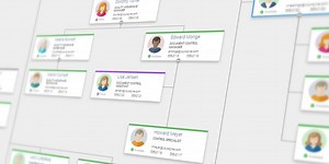 Organization Chart Visualization