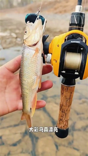 Master the Art of Lure Fishing: One Thing You Need to Know