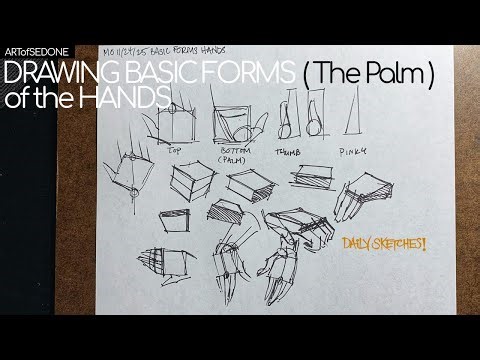 Drawing Basic Forms Of The Hands The Palm