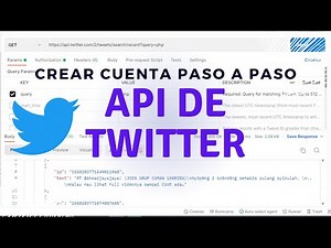 Obtener acceso a la API de Twitter | Cómo buscar tweets y cómo crear un tweet | Soy programador