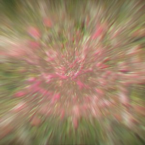 194K views · 203 reactions | Dance and share exciting moments all year long with 40 top songs, new workout mode, and 300+ tracks in Just Dance+ | Just Dance | Facebook