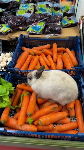 How to escape the matrix.? 😢 ##tiktok##creator##reaction##viral##popular