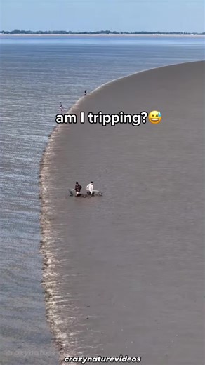 Where the Atlantic and Pacific Oceans Meet Underwater - North Sea