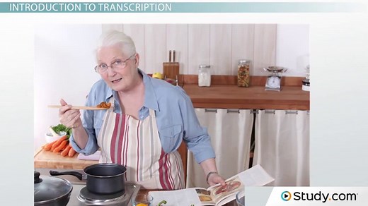 mRNA Transcription Process & Phases