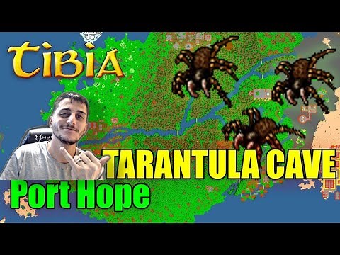 TIBIA - TUTORIAL TASK TARANTULA - PORT HOPE
