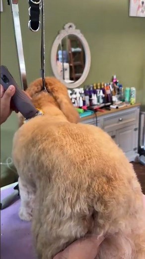 Unboxing the NEW KM10+