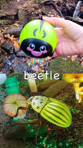 Babies Toddlers Kids | Learn Bug Insect Names at the Waterfall: Slug Weevil Beetle Mosquito