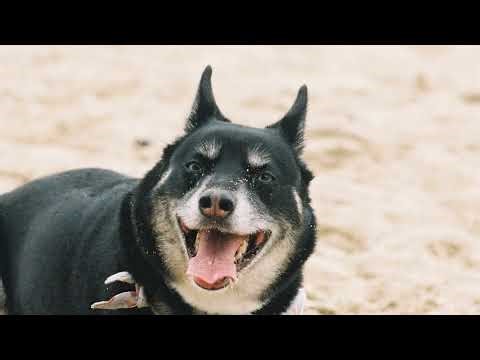 Stardew Valley Friday Night Gaming (a break from programming) | 04-10-2026