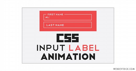 CSS Input Label Animation | HTML Form Placeholder Above Inputs