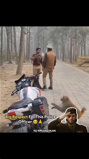 16 PLUS GYAN on Instagram: "Respect 🫡❤️ . 𝙏𝙝𝙚 𝙃𝙤𝙣𝙙𝙖 𝘾𝙞𝙫𝙞𝙘 𝙏𝙮𝙥𝙚 𝙍 𝙞𝙨 𝙖 𝙝𝙞𝙜𝙝𝙥𝙚𝙧𝙛𝙤𝙧𝙢𝙖𝙣𝙘𝙚 𝙫𝙖𝙧𝙞𝙖𝙣𝙩 𝙤𝙛 𝙩𝙝𝙚 𝙃𝙤𝙣𝙙𝙖 𝘾𝙞𝙫𝙞𝙘 𝙠𝙣𝙤𝙬𝙣 𝙛𝙤𝙧 𝙞𝙩𝙨 𝙨𝙥𝙤𝙧𝙩𝙮 𝙘𝙝𝙖𝙧𝙖𝙘𝙩𝙚𝙧𝙞𝙨𝙩𝙞𝙘𝙨 𝙖𝙣𝙙 𝙧𝙖𝙘𝙞𝙣𝙜 𝙝𝙚𝙧𝙞𝙩𝙖𝙜𝙚 𝙆𝙚𝙮 𝙛𝙚𝙖𝙩𝙪𝙧𝙚𝙨 𝙤𝙛 𝙧𝙚𝙘𝙚𝙣𝙩 𝙢𝙤𝙙𝙚𝙡𝙨 𝙞𝙣𝙘𝙡𝙪𝙙𝙚 1. * 𝙀𝙣𝙜𝙞𝙣𝙚*: 𝘼 𝙩𝙪𝙧𝙗𝙤𝙘𝙝𝙖𝙧𝙜𝙚𝙙 𝙡𝙞𝙩𝙚𝙧 𝙞𝙣𝙡𝙞𝙣𝙚𝙛𝙤𝙪𝙧 𝙚𝙣𝙜𝙞𝙣𝙚 𝙩𝙮𝙥𝙞𝙘𝙖𝙡𝙡𝙮 𝙥𝙧𝙤𝙙𝙪𝙘𝙞𝙣𝙜 𝙖𝙧𝙤𝙪𝙣𝙙 𝙝𝙤𝙧𝙨