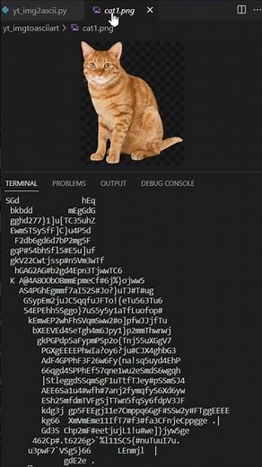 How to convert images to ASCII ART in python using ascii magic module? #shorts #ascii #python