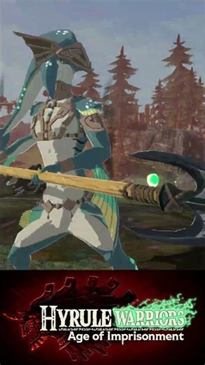 Mineru and Cadlan Sync Strike: Hyrule Warriors: Age of Imprisonment