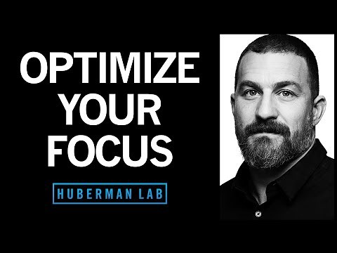 Focus Toolkit: Tools to Improve Your Focus & Concentration