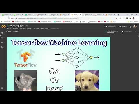 Classification d'image(vision par ordinateur) chien vs chat avec tensorflow et keras