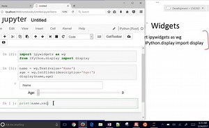 Interactive Python with Widgets