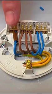 28K views · 198 reactions | How to Connect up a Ceiling Rose Using the 3 Plate Wiring Method #Electricalwiring | GSH Electrical Training | Facebook