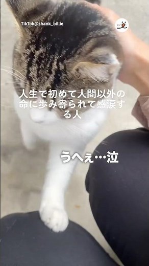 For the first time in my life, I was able to approach a non-human life | PECO