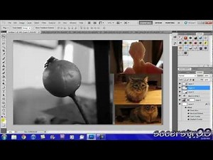 Adobe Photoshop CS5 Tutorial: Basic Editing