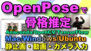 OpenPoseで骨格推定 Tensorflow 2.x版（M1 Mac/Intel Mac/Windows11/Ubuntu対応）