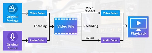 How to choose the right video codec - Comparison of AV1 | HEVC | VP9
