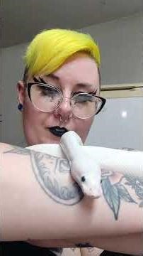 update on my white ball python