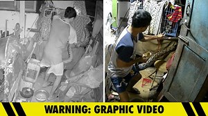 Video Shows Man Grabbing Huge Python, Stops It From Eating His Pet Cats