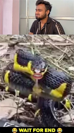 6 ghante hogaye🤣#cutey #monkeyisland #monkeytime #funnyanimalvideos#animal #cuteanimal #cute